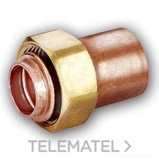 CONEX/BANNINGER - RACOR LOCO RTO.C/CUELLO 5240G 12x1/2"